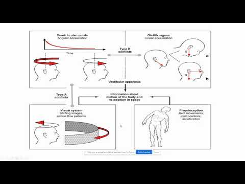 Cinetosis o mal de los transportes: seis conflictos sensoriales y un tratamiento