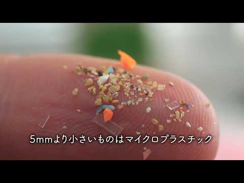 海洋ゴミは酸素生産者を脅かす