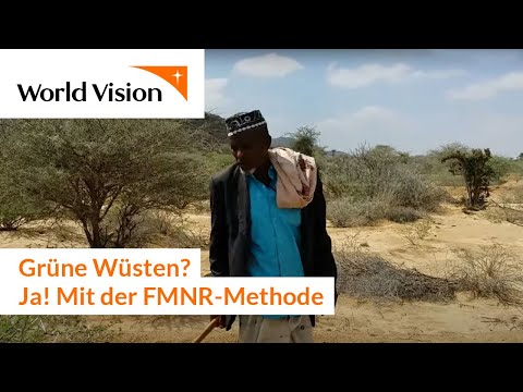 Grüne Wüsten? Ja - mit der FMNR-Methode