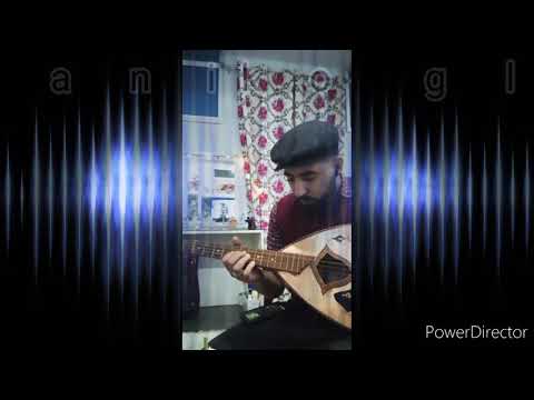 Mandol algérien cover tsigganiko glenti