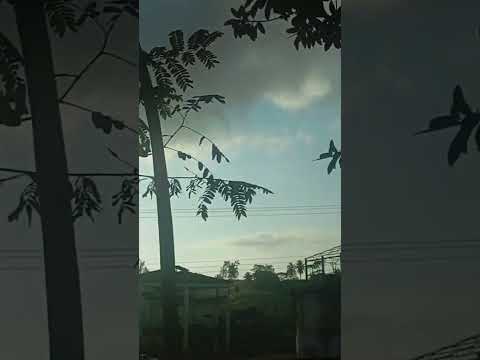 Usina Aliança, Aliança -PE. Feriadão 07 de setembro