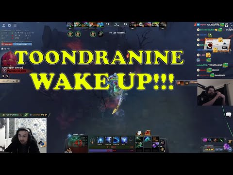 Tundra's Strategy that won The International 2022 leaked by Skiter & Nine