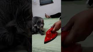 Unboxing & Review: GM G-Cruise 1000W Dry Iron Press | Best Budget Iron for Effortless Ironing! 😊👕