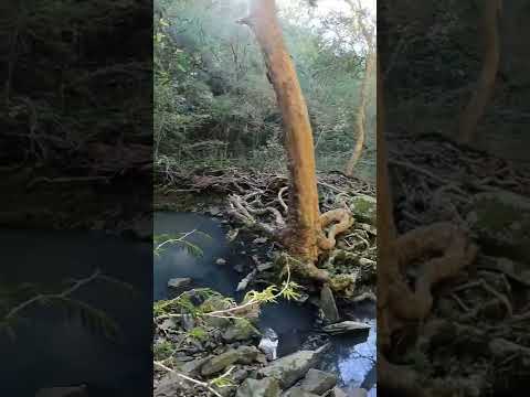 Yendo a la Cascada Dos Hermanas