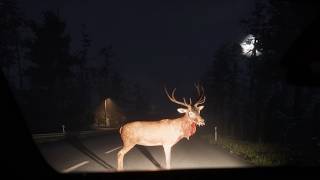 Go Home Annie update and console launch trailer teaser