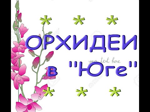 ЗАВОЗ ОРХИДЕЙ (Лас-Вегас,Монако,Дикий Кот,Рим и др.) в "Юге",23.06.21,ул.Авиационная,8,Самара.