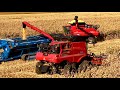 Challenging First Week Harvesting Corn w/ Three Combines Running. 