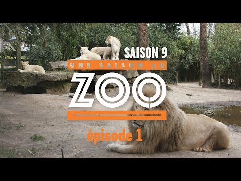 Une Saison au Zoo S9 - Ep01