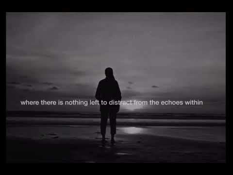 Radars - Alina Libkind