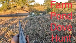 Dove Hunting a Small Farm Pond!!! Solo Hunt