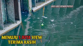 Download lagu Semakin Jarang Nya Pemancing Ikan Nila Besar Di Su... mp3