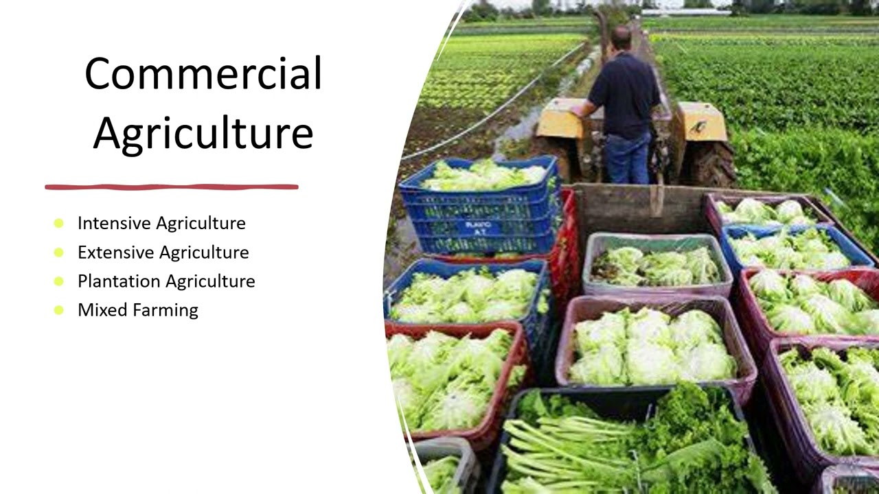 ICSE GEOGRAPHY- CHAPTER AGRICULTURE PART 1