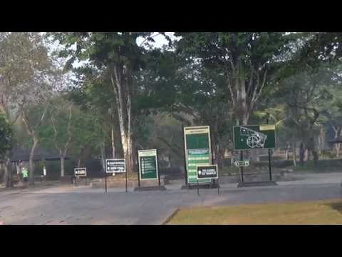Borobudur Temple (SHRIKANT MADHAV KELKAR)