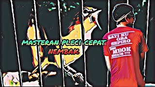 Download lagu masteran pleci nembak panjang untuk g12, pleci gisel mp3