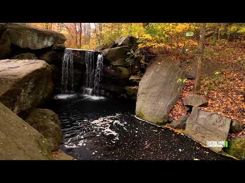 11 Hours of Ambient Central Park Scenery & Nature Sounds