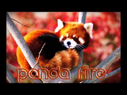 Steven Beyer - Panda Fire (long version)