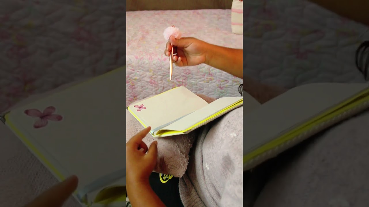 Vídeo de Papelaria Lady Gouldian