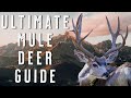 Public Land Mule Deer Hunting Tips 33 Years Of Strategies For Western DIY Hunters