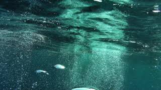 Clean Water- Joss Stone ( Piera Mussardo remix )