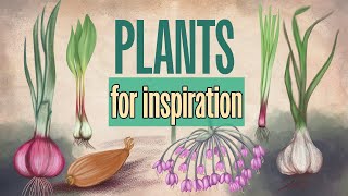 What I Learned from Drawing Onions, Garlic & Leeks: Allium Genus