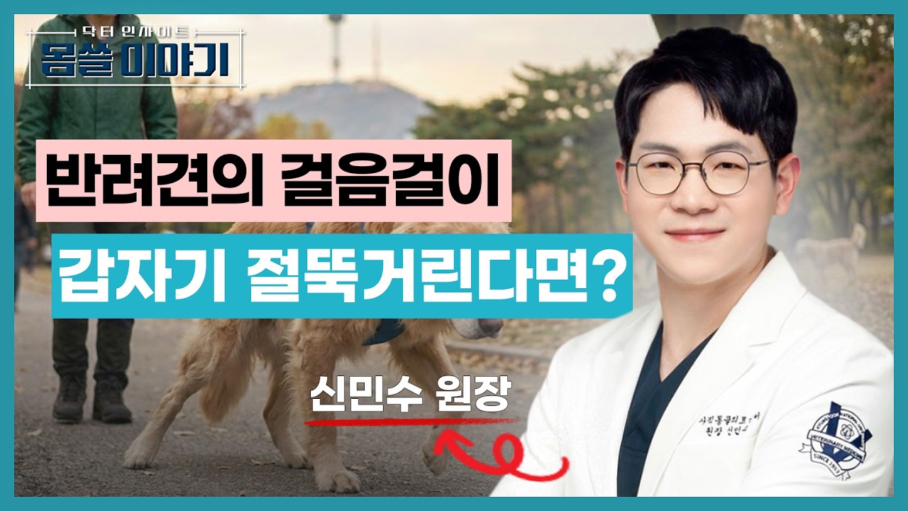 산책 거부·계단 회피… 놓치기 쉬운 강아지가 보내는 통증 신호 [몸쓸이야기 21회]