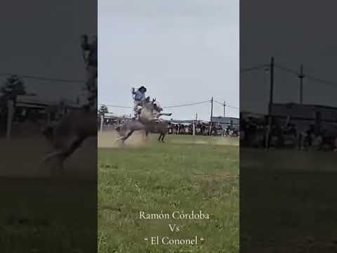 Destacado #jinete @RamonCordova #argentina #jineteadas