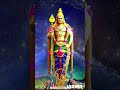 Muruga Thiruchenthur Muruga Vayalur Muruga Palani Muruga Thiruthani Muruga Arohara Murugan Status