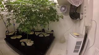 DAY 9th At 12  / 12 Poco a Poco Peoples!