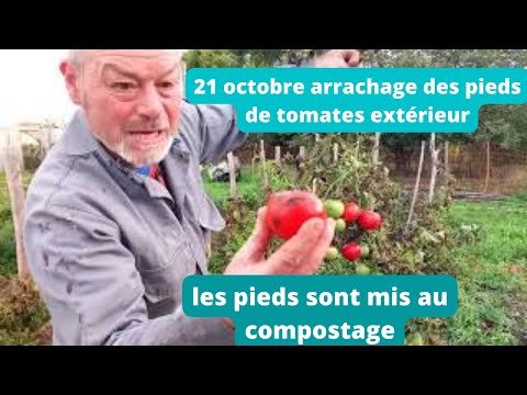 , title : 'Quoi faire de vos vieux pieds de tomate ?'