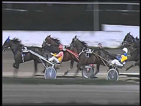 Trotto 14/01/2016 - 6° corsa