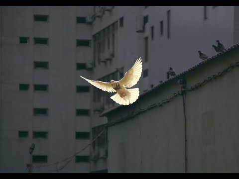 05.06.22 | Heiliger Geist in Aktion | Andreas Timm