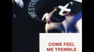 Paul Westerberg - What a Day (For a Night)