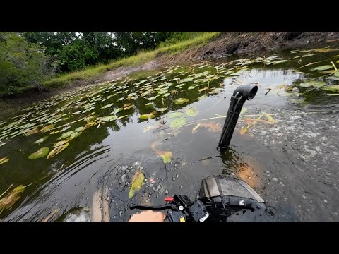 Rubicon on Portals 7' feet deep! How to hide a Honda! Kubota saves the day