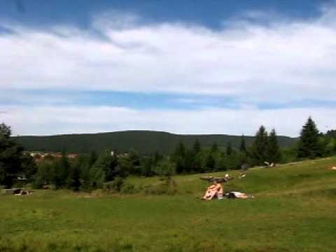 Poiana superba  de la poalele dealurilor in Covasna.