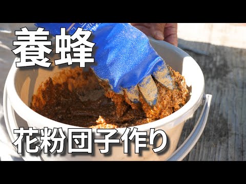 花粉媒介者を惹きつける菜園に最適な蜂蜜植物は何ですか