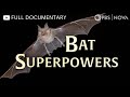 Bat Superpowers | Full Documentary | NOVA | PBS