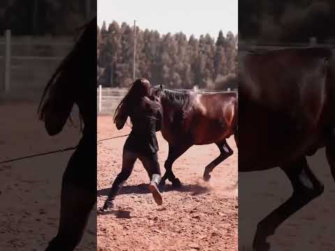 Gejala Gejala Turkish Song status