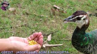 Neighbours Envy Owners Pride.