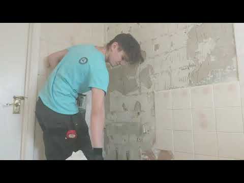 Bathroom renovation with Insignia electric shower