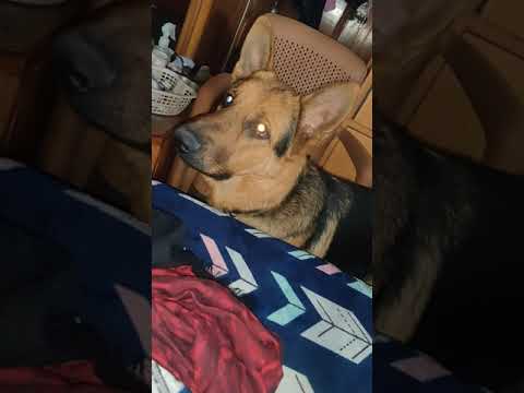 wants to go outside at early morning