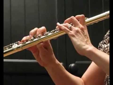 Pearl PF- 885 Handmade Flute (Used) - (Cantabile 8800)  Excellent! Low-Mid Register Demo