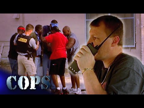 The Ultimate Sting Operations 🐝 👮‍♂️ | Cops TV Show