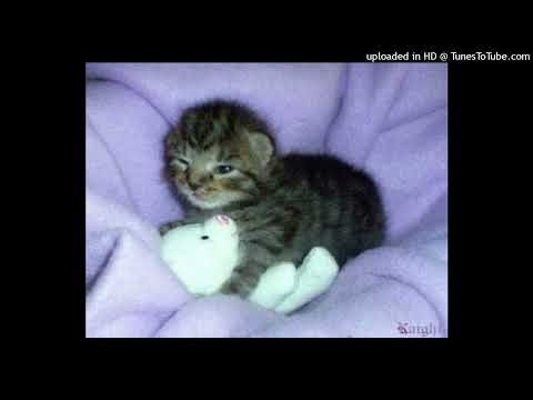 jean dawson ~ bully breaker