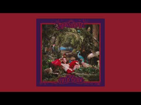 Kinneret - Living in the Sky (Official Audio)