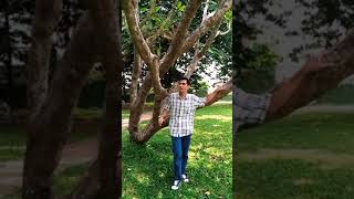Download lagu Koes Plus, Ketentraman, Lipsync #koesplus mp3