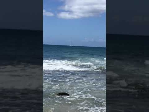 Sunshine Coast beach