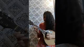 Navrai Majhi (English Vinglish) -  Mandolin Cover (Intro)