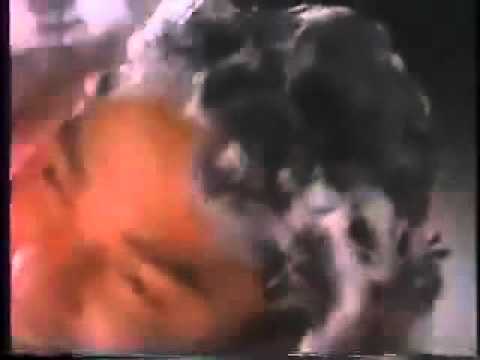 Dimension Anti-dandruff Shampoo TV commercial