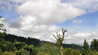 Indonesian Vlog Ep. 5