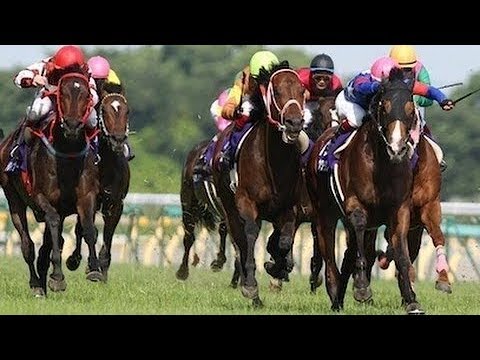 2010 Yasuda Kinen G1 - Showa Modern (昭和革新) - H.Goto
